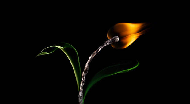fire2best