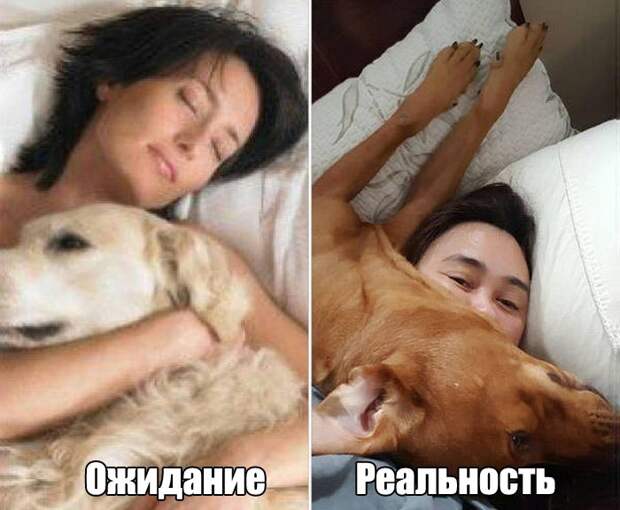 Прикольные картинки (95 фото)