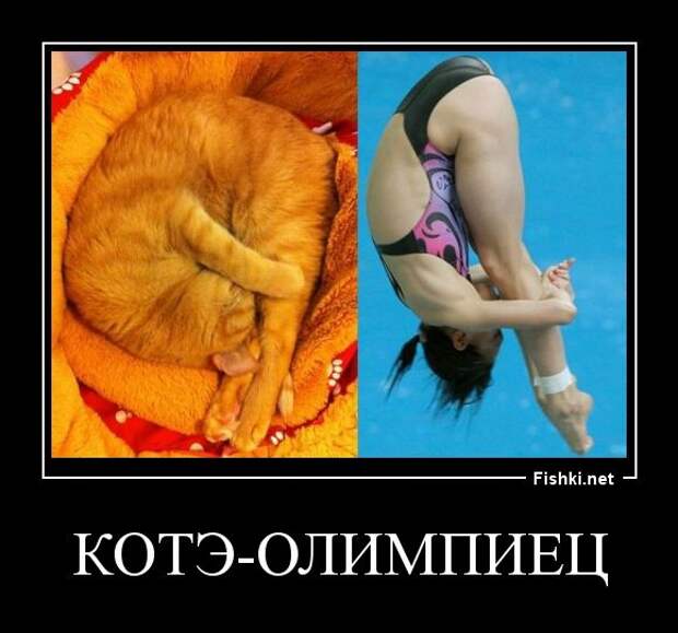 Демотиваторы демотиваторы, картинки, приколы