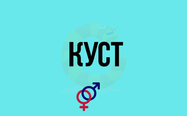 kust