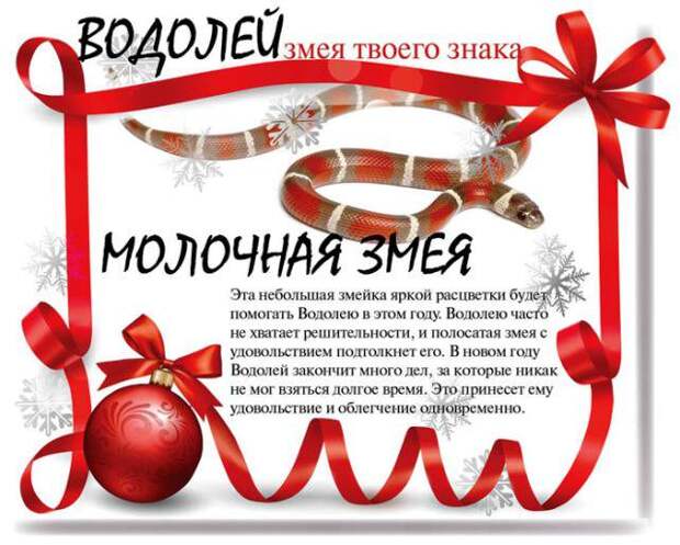 Какой змеей будешь ты в 2013 году (13 фото) Какой змеей будешь ты в 2013 году (13 фото)