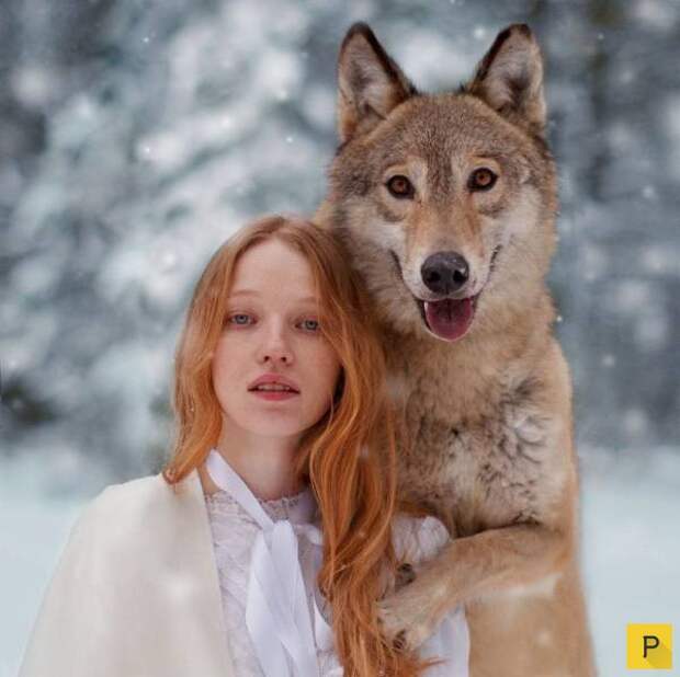 Подборка прикольных фотографий, часть 74 (104 фото)