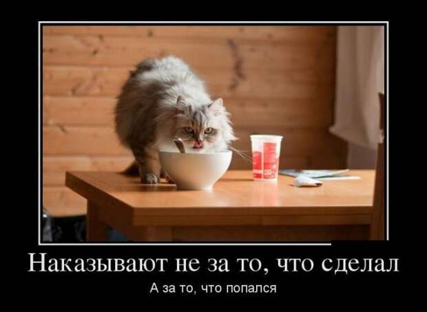 Демотиваторы (30 фото)