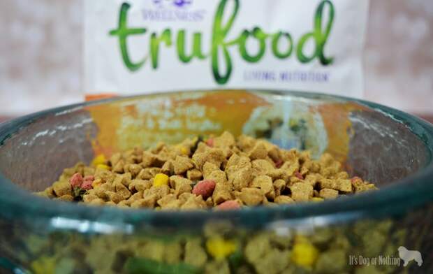 For me, #TruLoveIs is a Great Pyrenees. For Mauja and Atka, #TruLoveIs Wellness TruFood. TruFood gives pets more of what they need to be vibrant and happy.