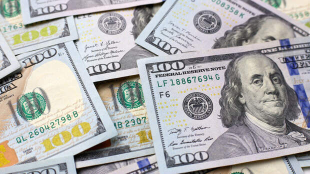 ТАСС: в Москве девочка выкинула в окно сумку с $88 тыс. после ссоры с матерью