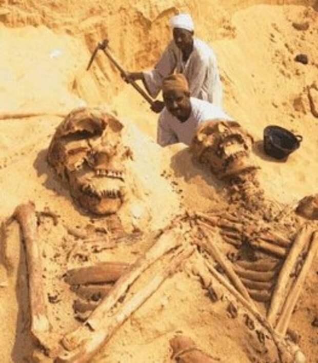 skeleton-9