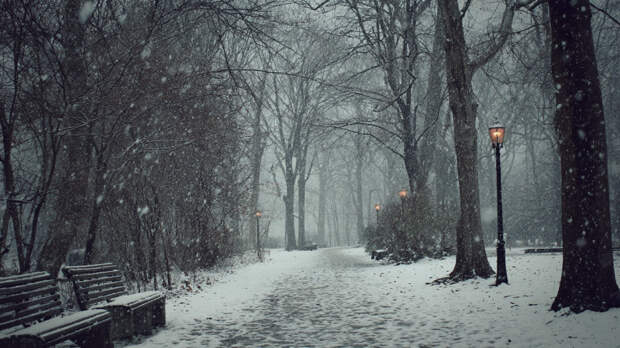 Жителей Подмосковья предупредили о возможности выпадения снега на этой неделе