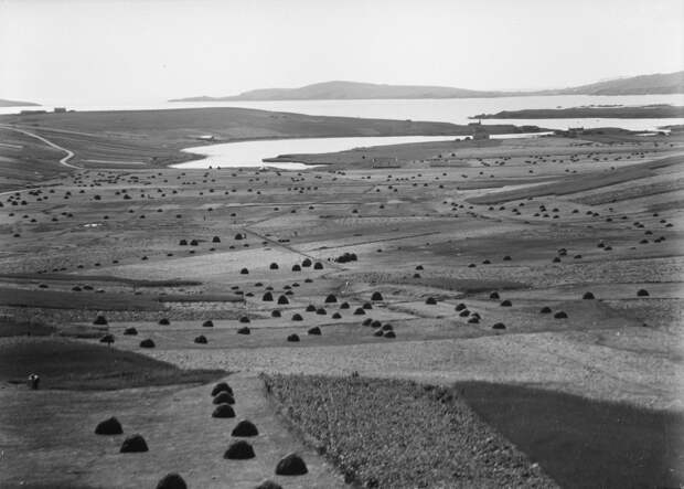 Cunningsburgh, on Mainland, Shetland, with meadows full of 