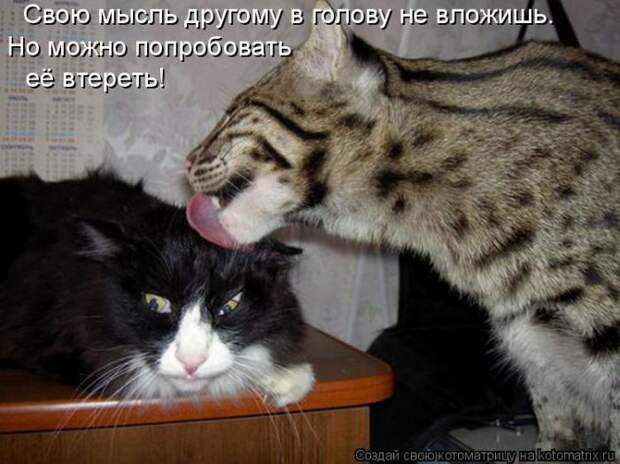 Мысли вслух :)
