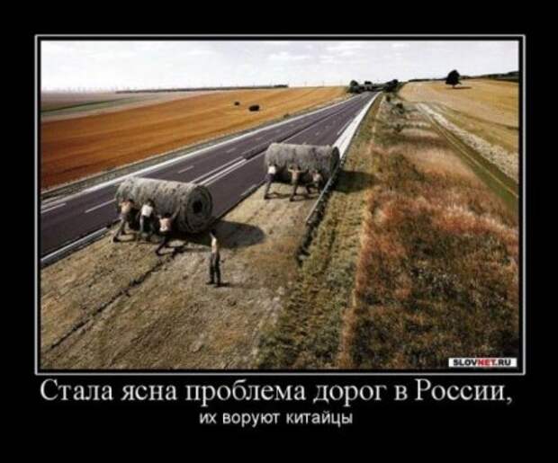 Много разных приколов в демотиваторах.