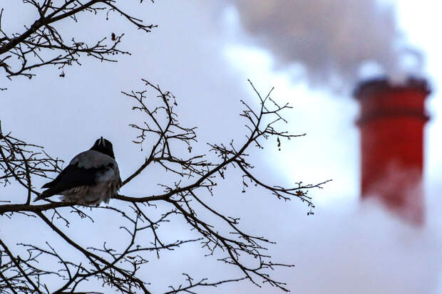 Никитин: БПЛА повредили Новогорьковскую ТЭЦ и жилые дома Нижегородской области