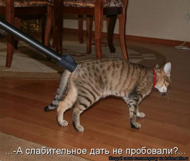 Котоматрица - ...-А слабительное дать не пробовали?...