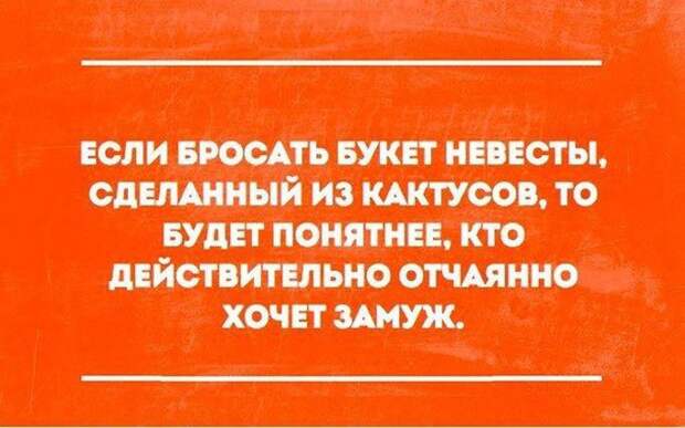 открытки с отборным юмором (18)