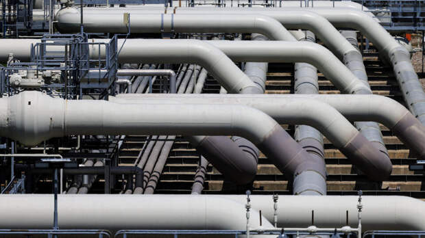 Вагенкнехт осудила поставки газа Украине при пустых немецких хранилищах