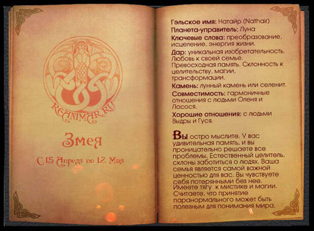 Кельтский гороскоп