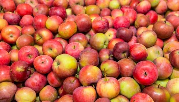 Посчитали сахарозу? / Фото: delfi.ee