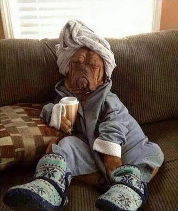 Классные и прикольные картинки (45 шт)