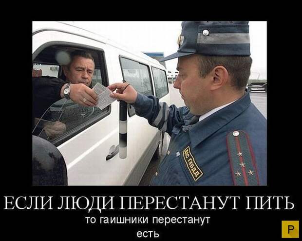 Зри в корень  (32 фото)