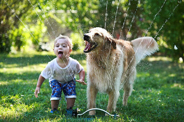 50 фотографий, доказывающих, что вашим детям нужна собака дружба, ребенок, собака