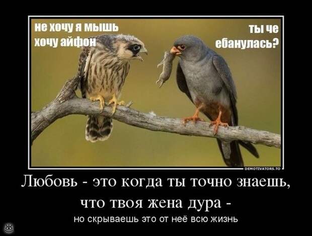 Спасибо женщинам за эволюцию! 26