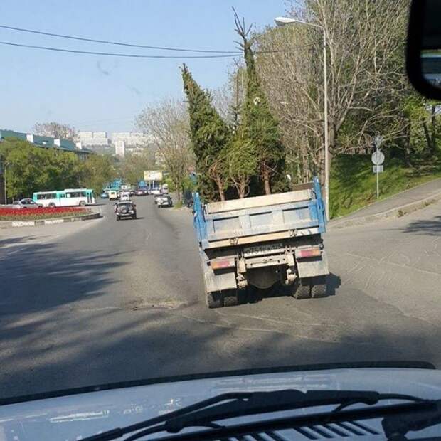 Вы и не догадывались, что в психушках тоже бывают каникулы Вы и не догадывались, что в психушках тоже бывают каникулы