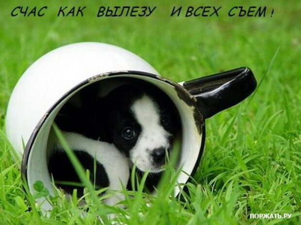 Подборочка фотоприколов (10 фоток)