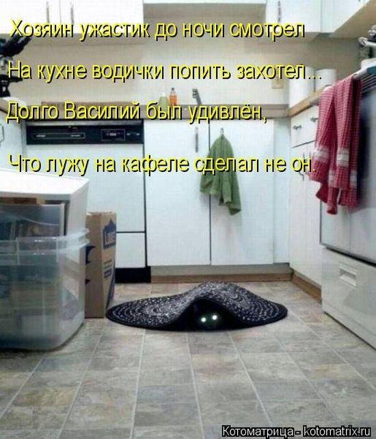 Прикольные котоматрицы Прикольные котоматрицы