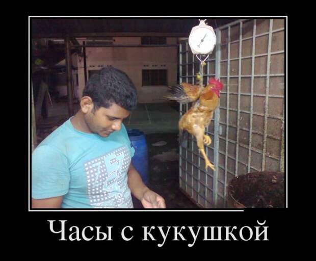 Демотиваторы демотиваторы, картинки, приколы