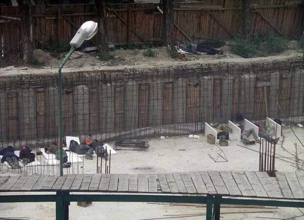 Такое может быть только в России (65 фото)