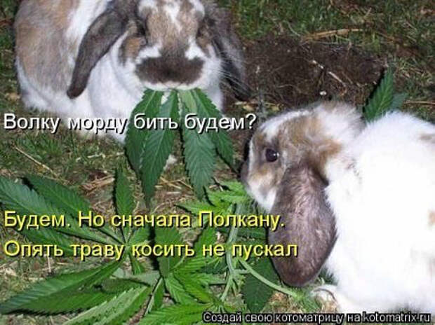 image (450x337, 168Kb)