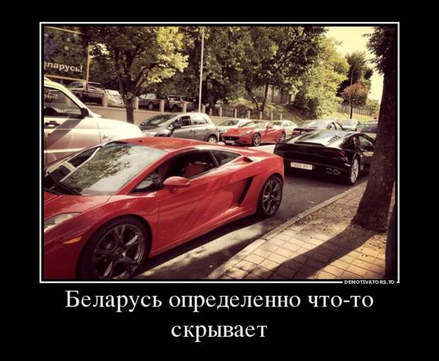 Беларусь определённо что-то скрывает... демотиватор, юмор