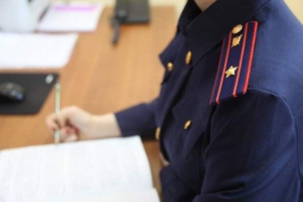 Председатель Следственного комитета России поручил представить доклад по информации о нападении безнадзорных животных на жителей Московской области