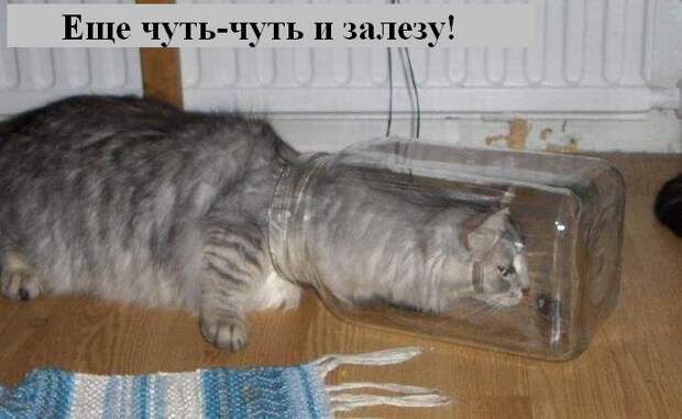 Мысли :) (50мыслей)