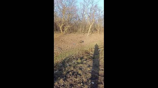 Video: TikVideo.App_7480939707526909239_hd.mp4