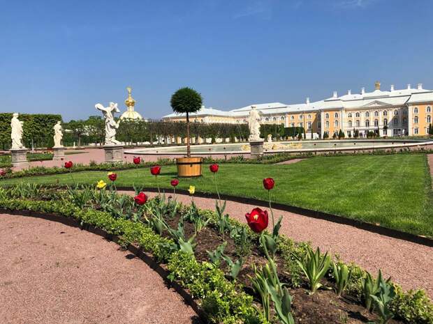 Верхний сад в Петергофе открыли после четырех лет реставрации по чертежам XVIII века
