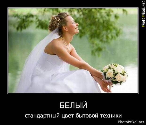 Демотиваторы новые (67 демотиваторов) Демотиваторы новые (67 демотиваторов)