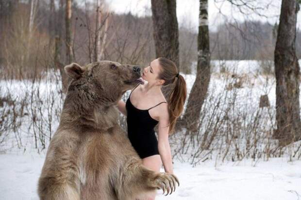 Фотографии моделей с 650-килограммовым медведем в заснеженном лесу Фотографии моделей с 650-килограммовым медведем в заснеженном лесу медведь, фото