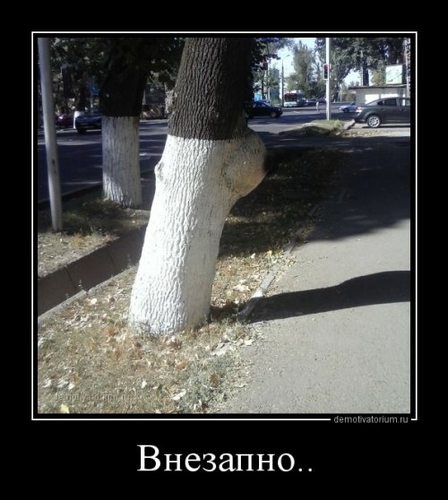 Демотиваторы-приколы для настроения (13 шт)