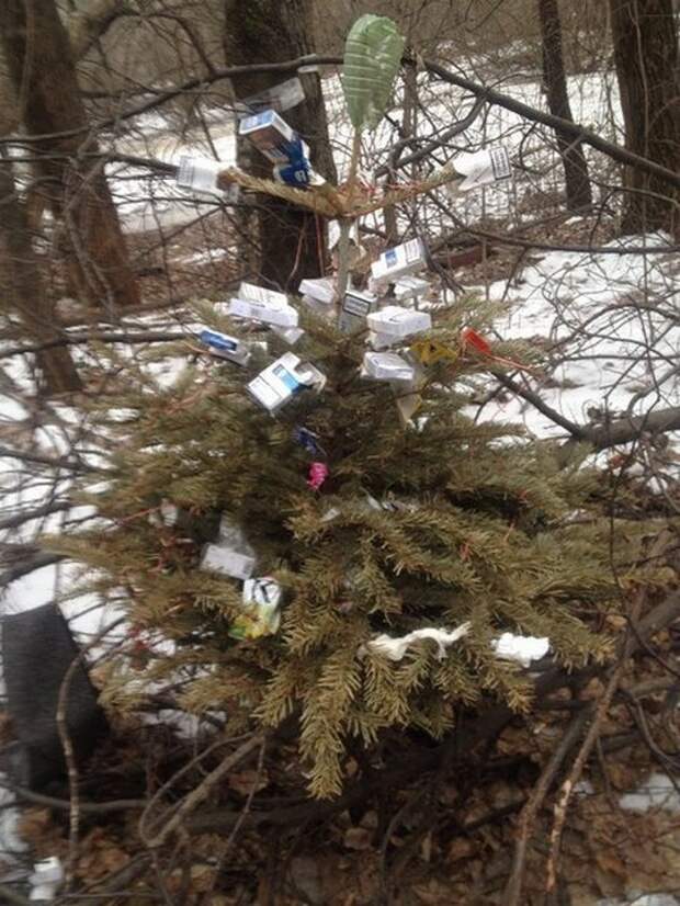 жизнь на бывшем советском пространстве