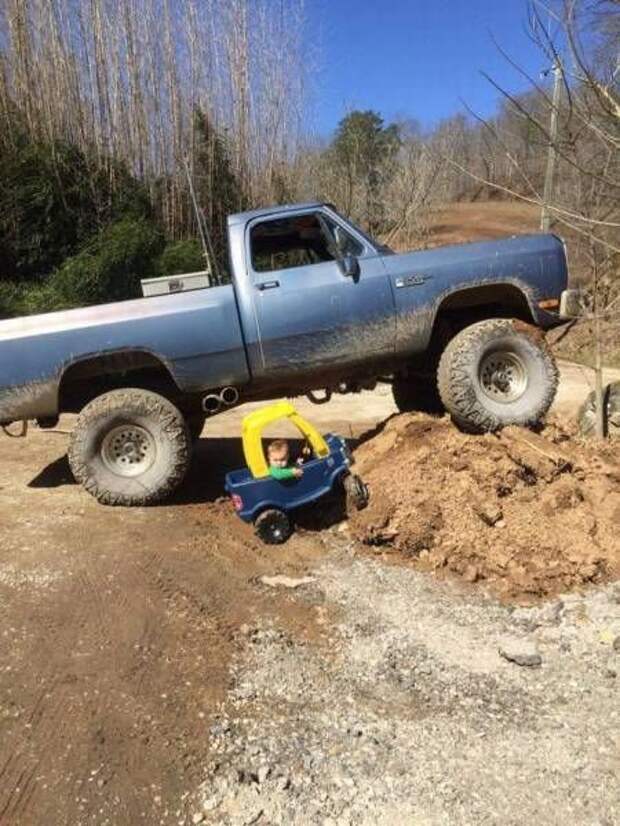 Прикольные картинки