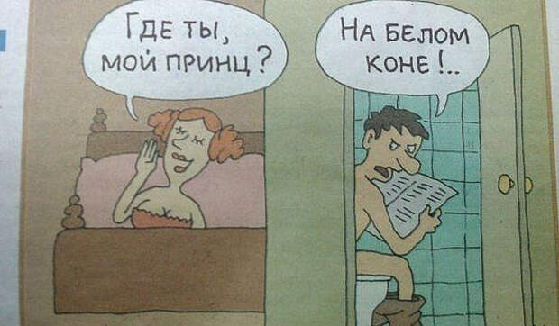 А где принц унитаз (592x346, 157Kb)