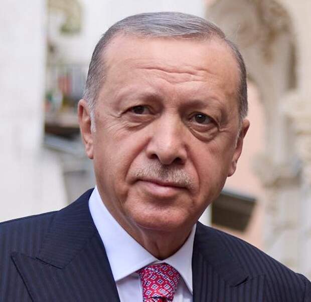 Эрдоган убежден, что урегулирование на Украине возможно дипломатическим путем