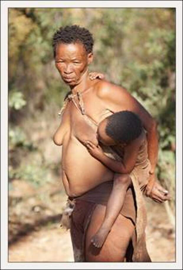 Племя Бушмены – народ Африки