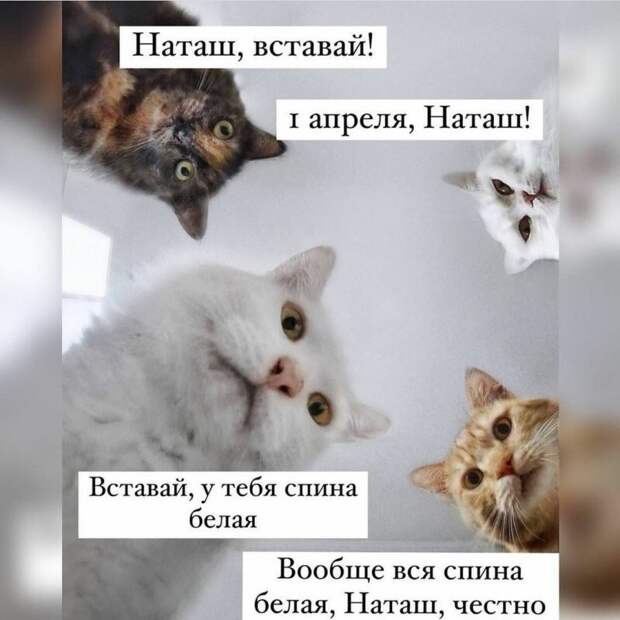 А как вы отметили 1 апреля? А как вы отметили 1 апреля?