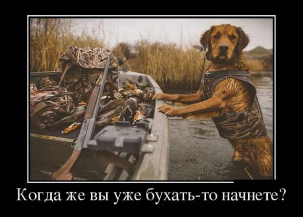 Демотиваторы (30 фото)
