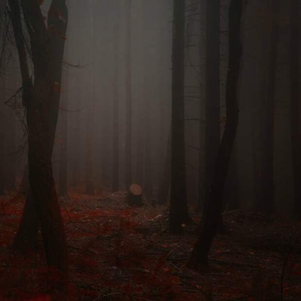 Красивые фотографии чешского фотографа Janek Sedlar