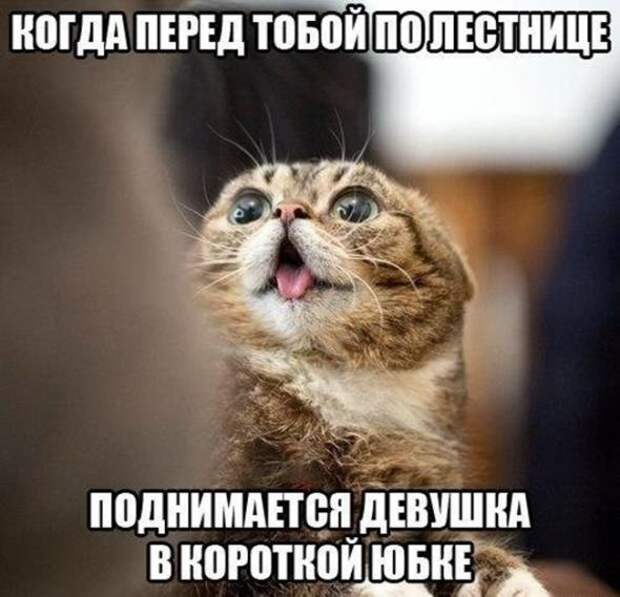 Смешная галерея фотоприколов  # 75