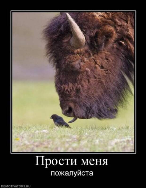 Демотиваторы, приколы без особого смысла.