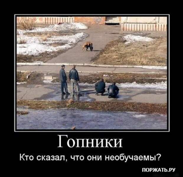 Cмысл демотиваторов - расмешить! (26 фото)