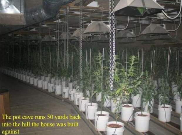 Дом с золотым запасом (13 фото)